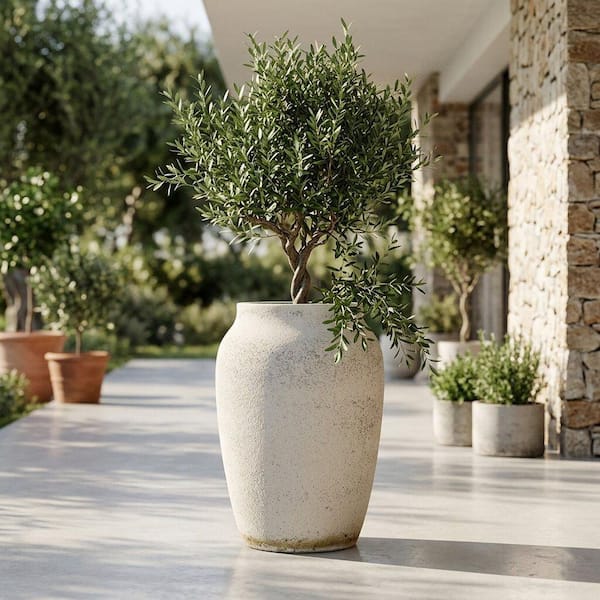 PotteryPots 20 in. W Hera L Ficonstone Mediterranean Planter  Indoor/Outdoor, Chalk White P3204-74-98 - The Home Depot