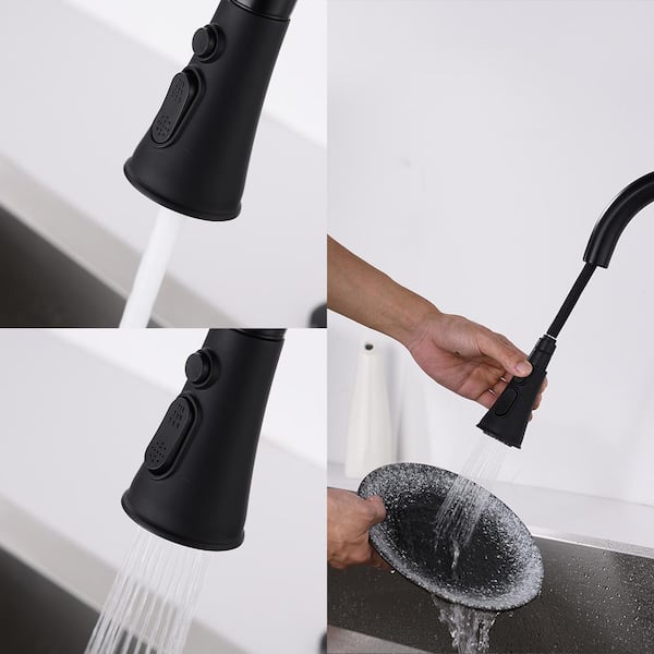 Single Handle Pull Down Sprayer Kitchen Faucet with Sprayer in Matte Black Stainless Steel