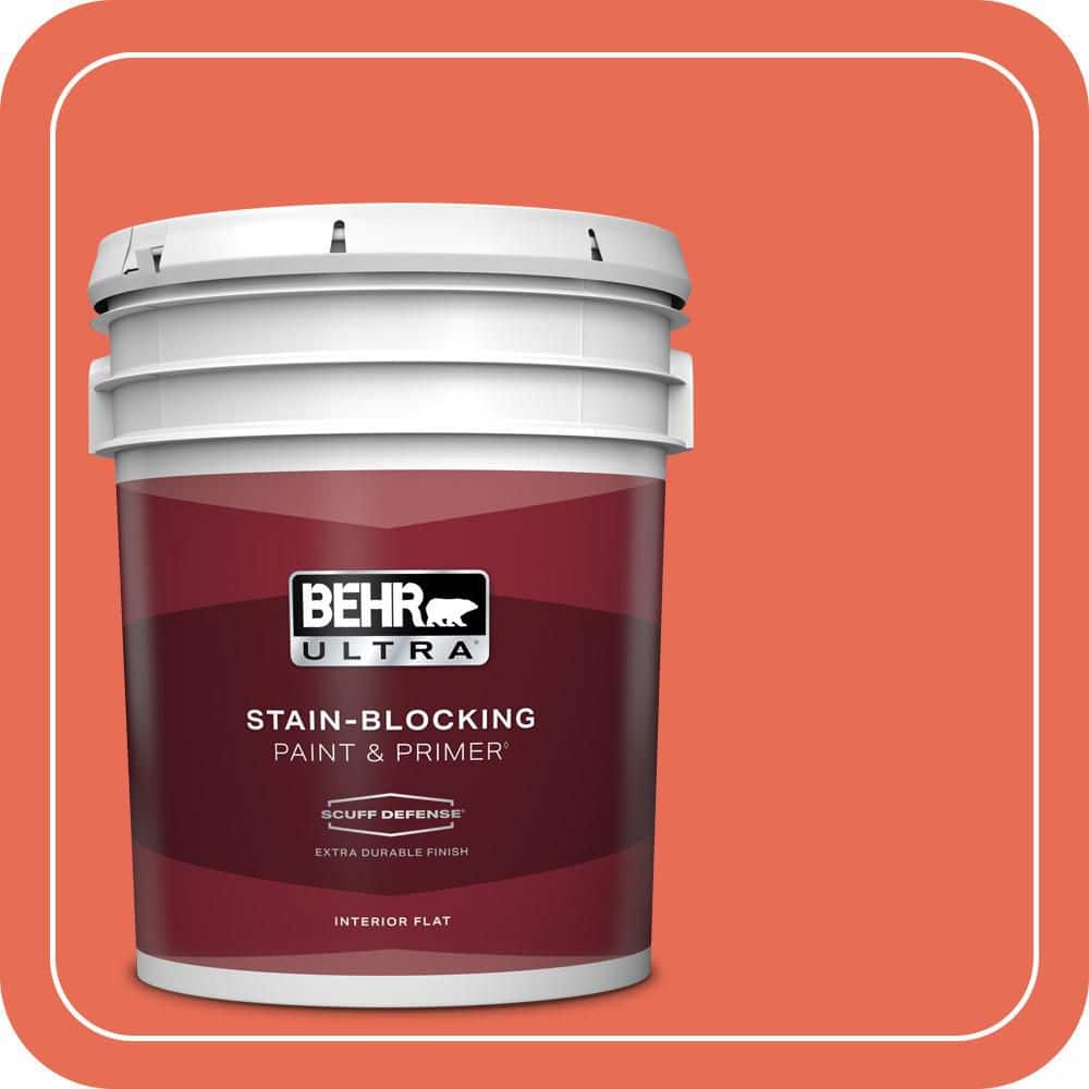 5 gal. #190B-6 Wet Coral Extra Durable Flat Interior Paint & Primer product image for price tracking