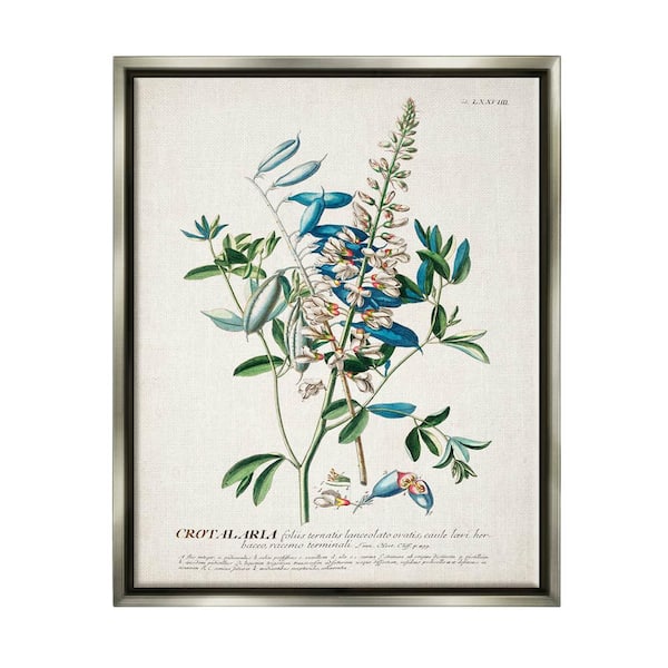 The Stupell Home Decor Collection Botanical Plant Illustration Flowers And Leaves by World Art Group Floater Frame Nature Wall Art Print 21 in. x 17 in. .