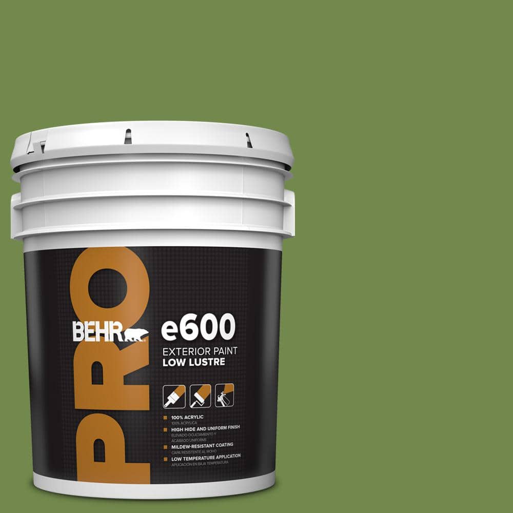 5 gal. #HDC-SM14-2 Green Suede Low Luster Exterior Paint price history on PriceWatchPro