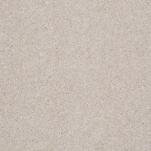 Brave Soul I - Tea and Honey - Beige 34.7 oz. Polyester Texture Installed Carpet