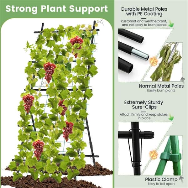 ITOPFOX 74 in. A-frame Stable Structure Tall Garden Trellis for