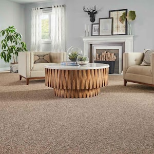 Maisie II  - Sea Oats - Beige 52 oz. Triexta Texture Installed Carpet