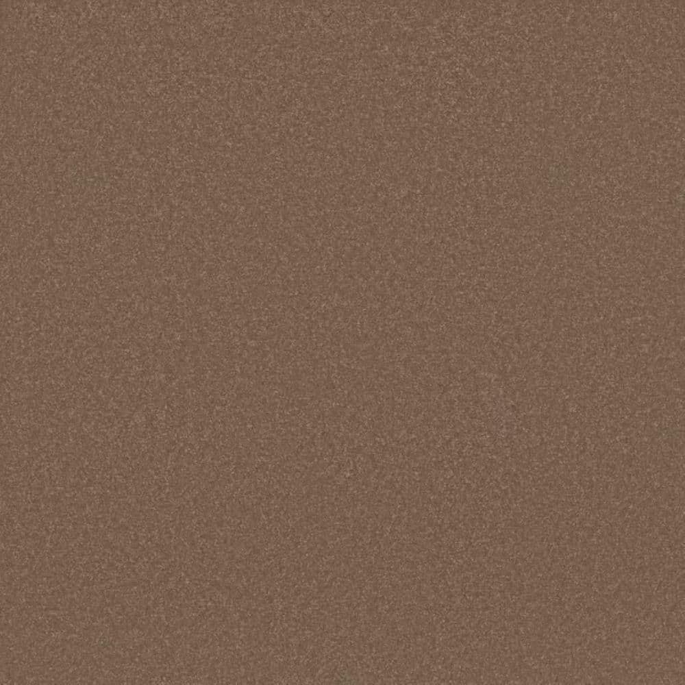 8 in. x 8 in. Texture Carpet Sample-Park Royal I-Color Wheat price history on PriceWatchPro