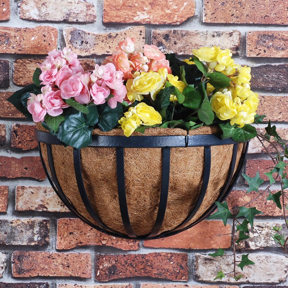 Arcadia Solstice Large Oval Black Metal Wall Planter with Coconut Liner, 20-inch