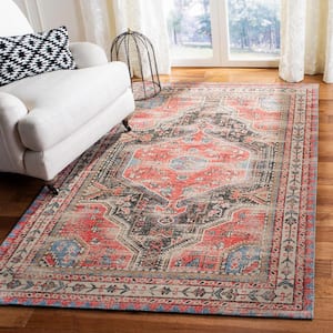 Classic Vintage Red/Charcoal 8 ft. x 10 ft. Overdyed Area Rug