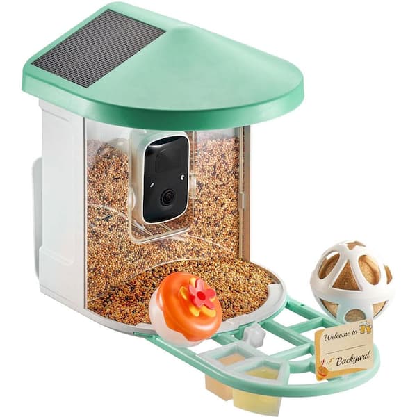 Hopper Feeder with Camera 2K HD AI Identify Bird Species Solar-Powered, Green