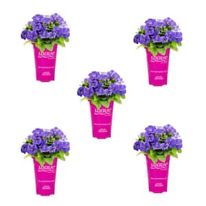 1.5 PT. Lavender Sky Blue Easy Wave Petunia Annual Plant with Purple Flowers (5-Pack)