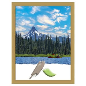 Grace Brushed Gold Narrow Picture Frame Opening Size 18 x 24 in.