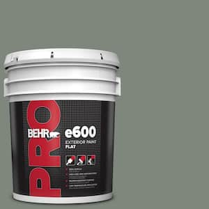 5 gal. #N410-5 Village Green Flat Exterior Paint