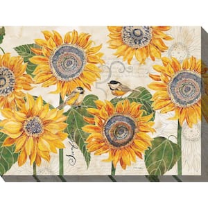 Sunbirds Outdoor Art 40 in. x 30 in.