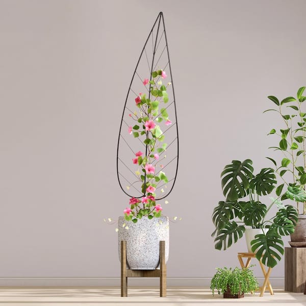 Pure Garden Trellis for Climbing Plants Outdoor Plant Support 2- Pack 55 in. Metal Garden Trellis for Potted Plants, Climbing Vines