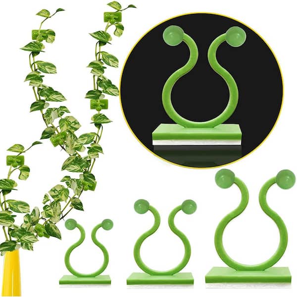 Unbranded Plant Climbing Wall Clips, Invisible Plant Clips for Climbing Plants, Adhesive Plant Clips for Potluck (110-Piecses)