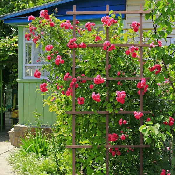 8 Essentials for Your Homestead Garden