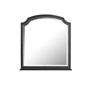 Charcoal 39 in. W x 35 in. H European Rectangle Composite Wood Framed Mirror