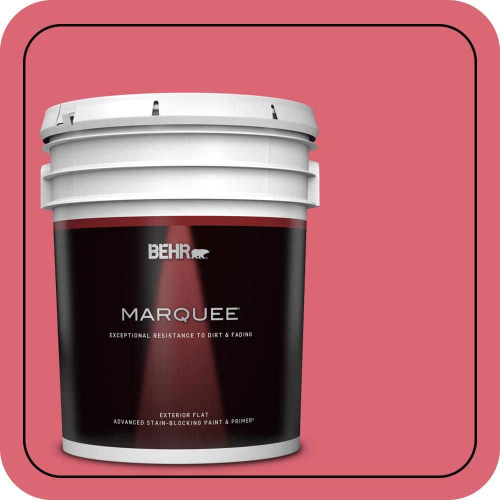 5 Gal. #P150-5A Strawberry Taffy Flat Exterior Paint and Primer price history on PriceWatchPro