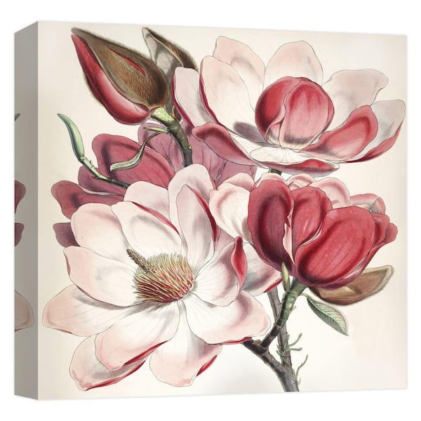 PTM Images Beautiful Roses'' Canvas Abstract Wall Art 15 in. x 15 in.