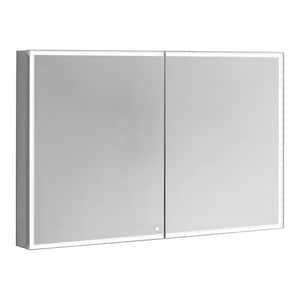 Edge Royale 48 in. W x 32 in. H Rectangular Silver Recessed/Surface Mount Medicine Cabinet with Mirror and LED Lighting