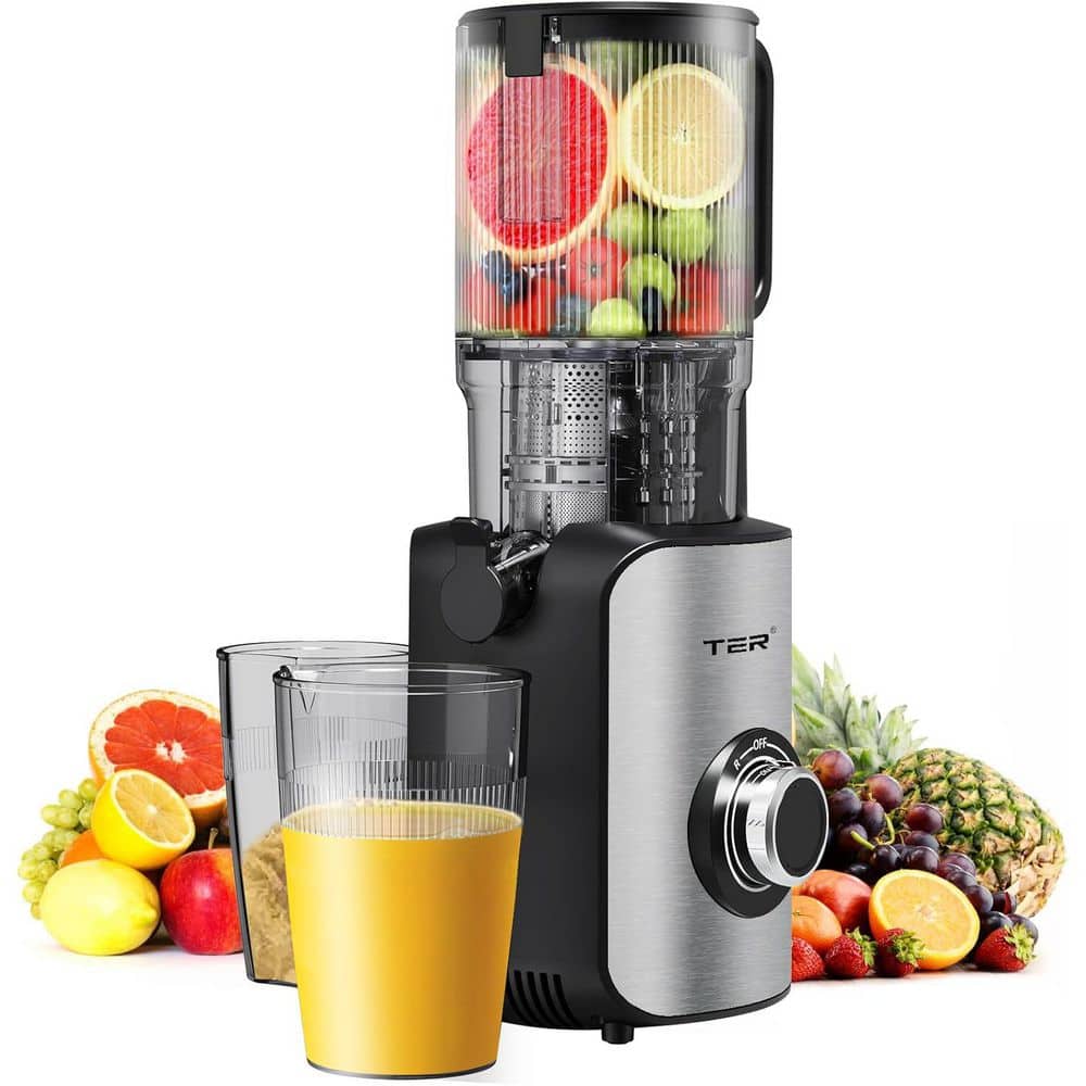 200W 40oz. Silver Slow Masticating Juicer with 5'' Wide Chute, High Juice Yield & Easy Clean for Vegetables & Fruits. price history on PriceWatchPro