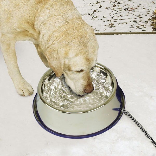 K&H Manufacturing Thermal Pet Bowl, 120 oz, Silver