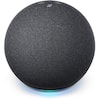 Echo Dot 3G in Gray (2-Pack) AMZ-DOT3G2PK-DIY - The Home Depot
