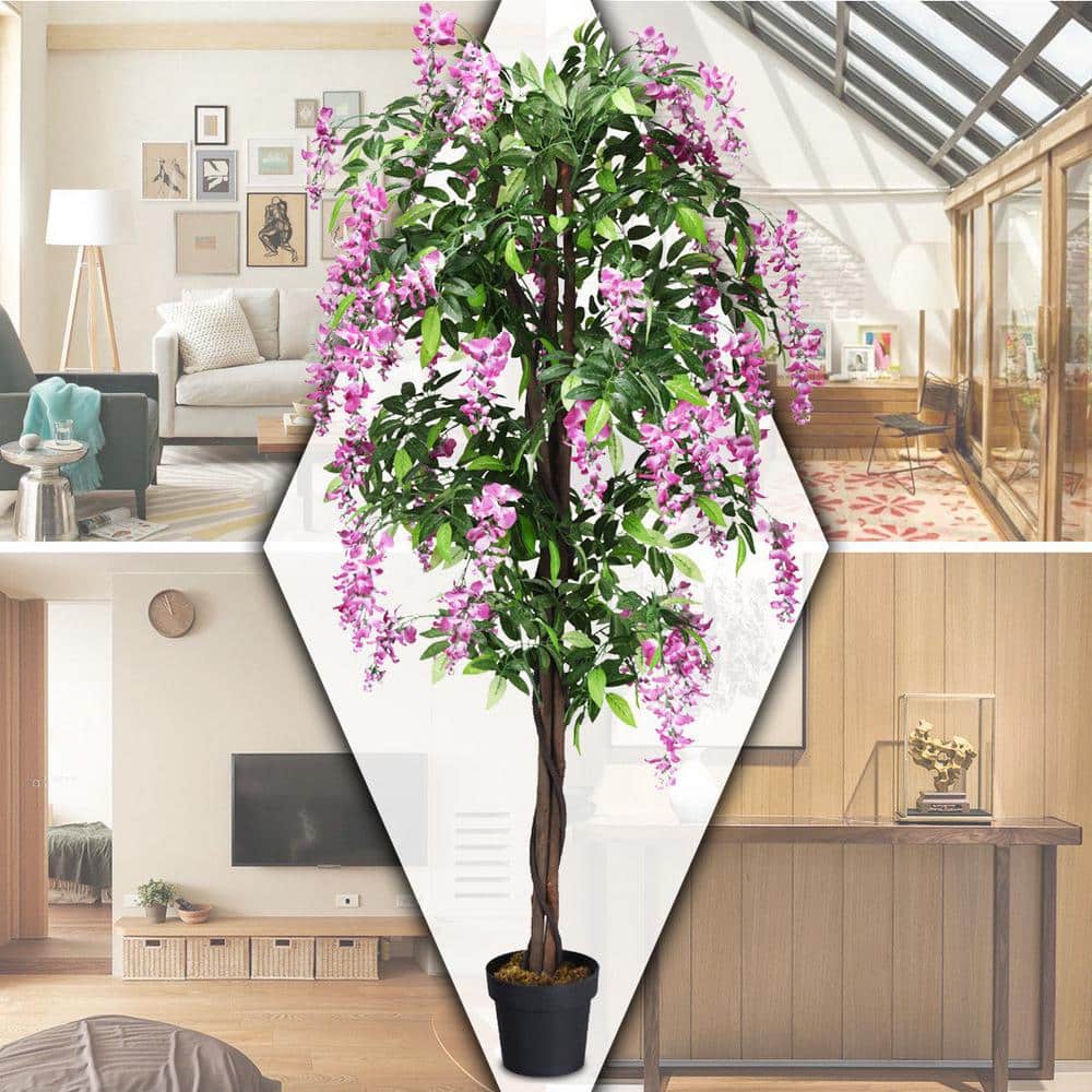 6-Foot Purple Silk Wisteria Tree with Black Plastic Pot