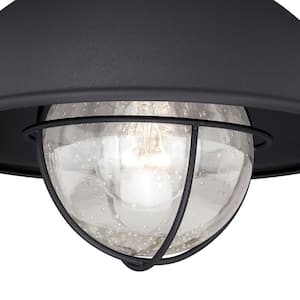 Harwich Black Coastal Barn Dome Outdoor Flush Mount 1-Light Ceiling Fixture Clear Glass