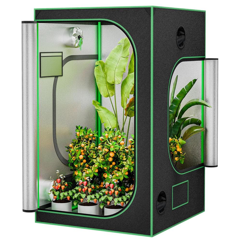 4 ft. x 4 ft. Grow Tent 48 x 48 x 80 Hydroponic Grow Tent with Observation 