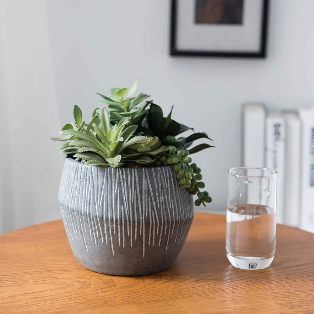 Artificial Succulent Mixture in Coconut Pot