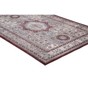 Barcelona Suzani Medallion Red 8 ft. x 11 ft. Area Rug