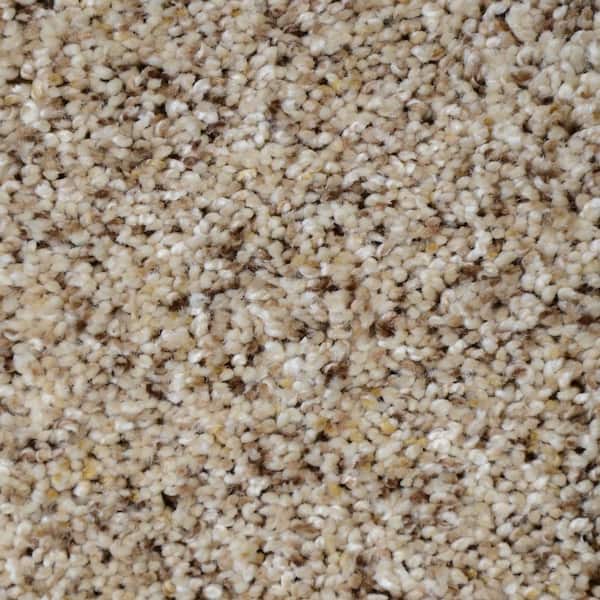 Home Decorators Collection Carpet Sample - Nevada - Color Alta Sierra Texture 8 in. x 8 in.