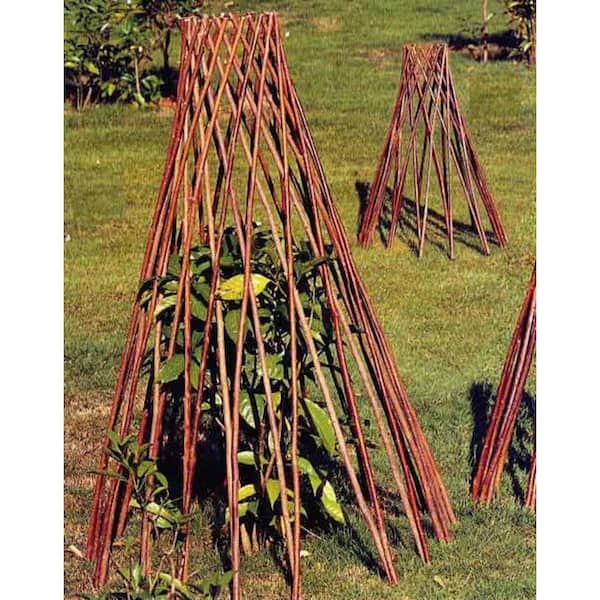 36 in. H Willow Round Tepee Trellis
