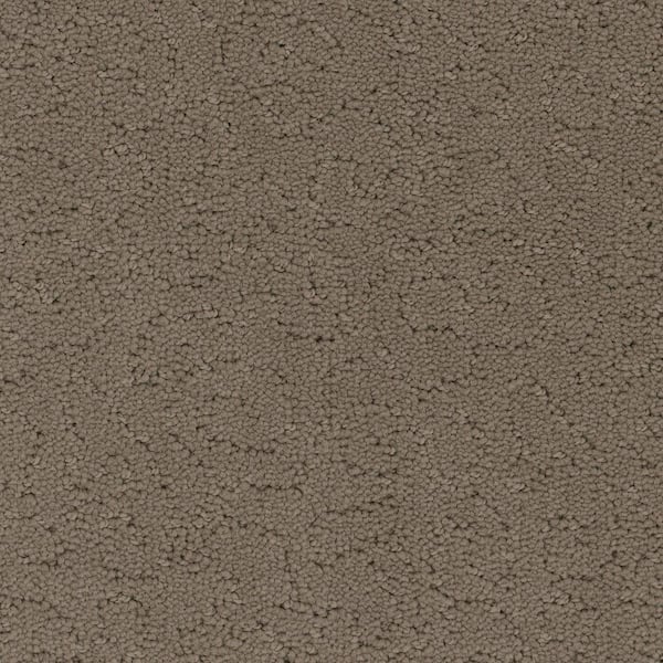 Home Decorators Collection 8 in. x 8 in. Pattern Carpet Sample - Adalida -Color Flint