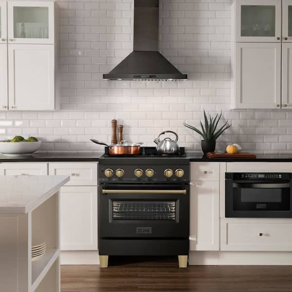 30 in. Kitchen Package Black Stainless 4-Burner Dual Fuel Range, Hood, Dishwasher, Refrigeration with Champagne Accent