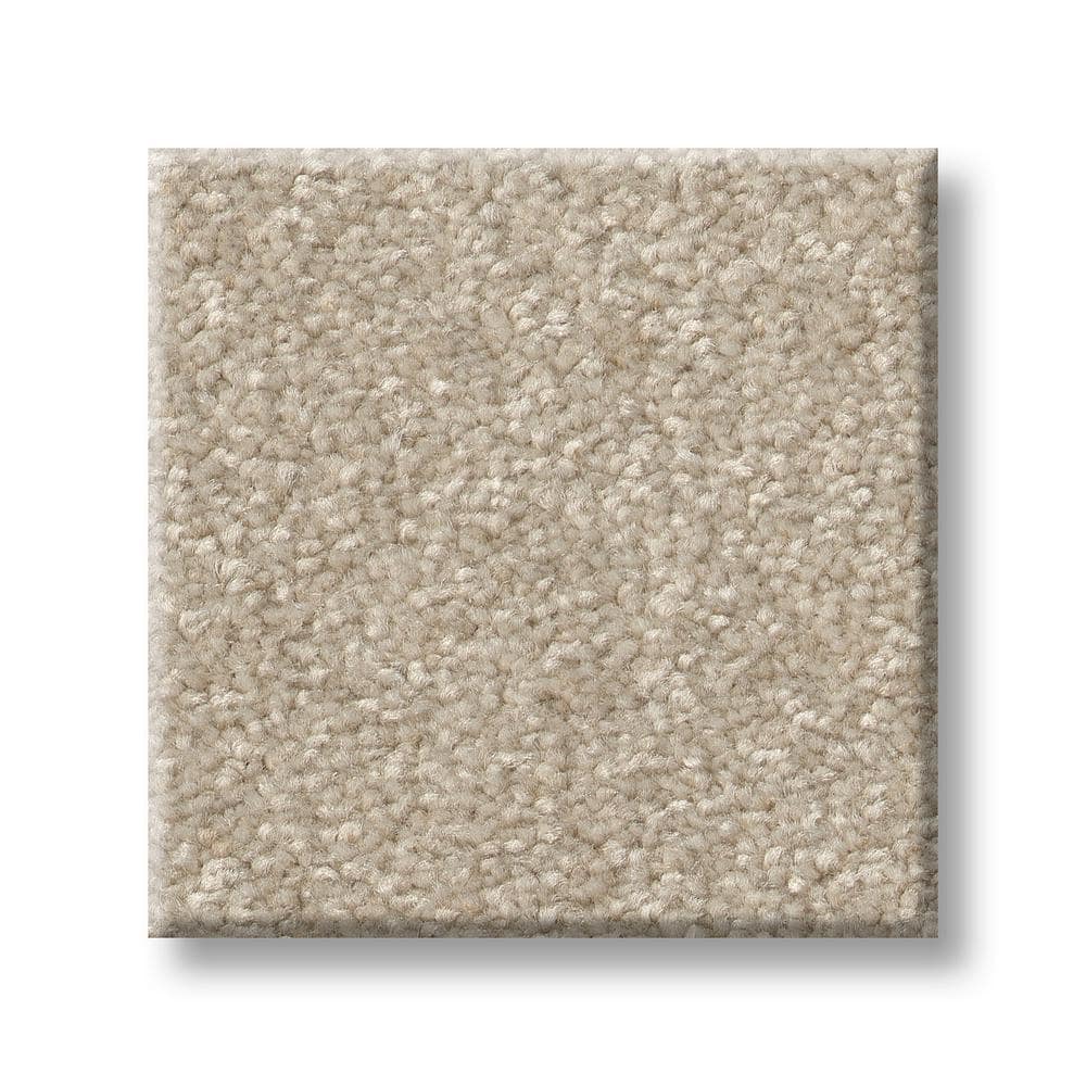8 in. x 8 in. Texture Carpet Sample - Blakely I -Color Toad price history on PriceWatchPro