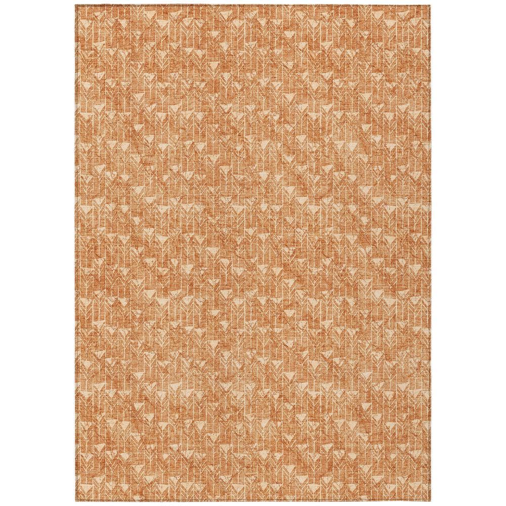 Chantille ACN514 Salmon 5 ft. x 7 ft. 6 in. Machine Washable Indoor/Outdoor