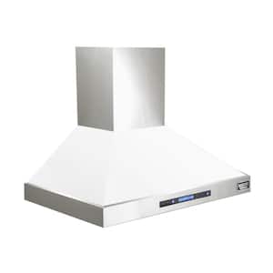 Professional 30 in. 900 CFM Ducted Wall Mount Range Hood with Light in White