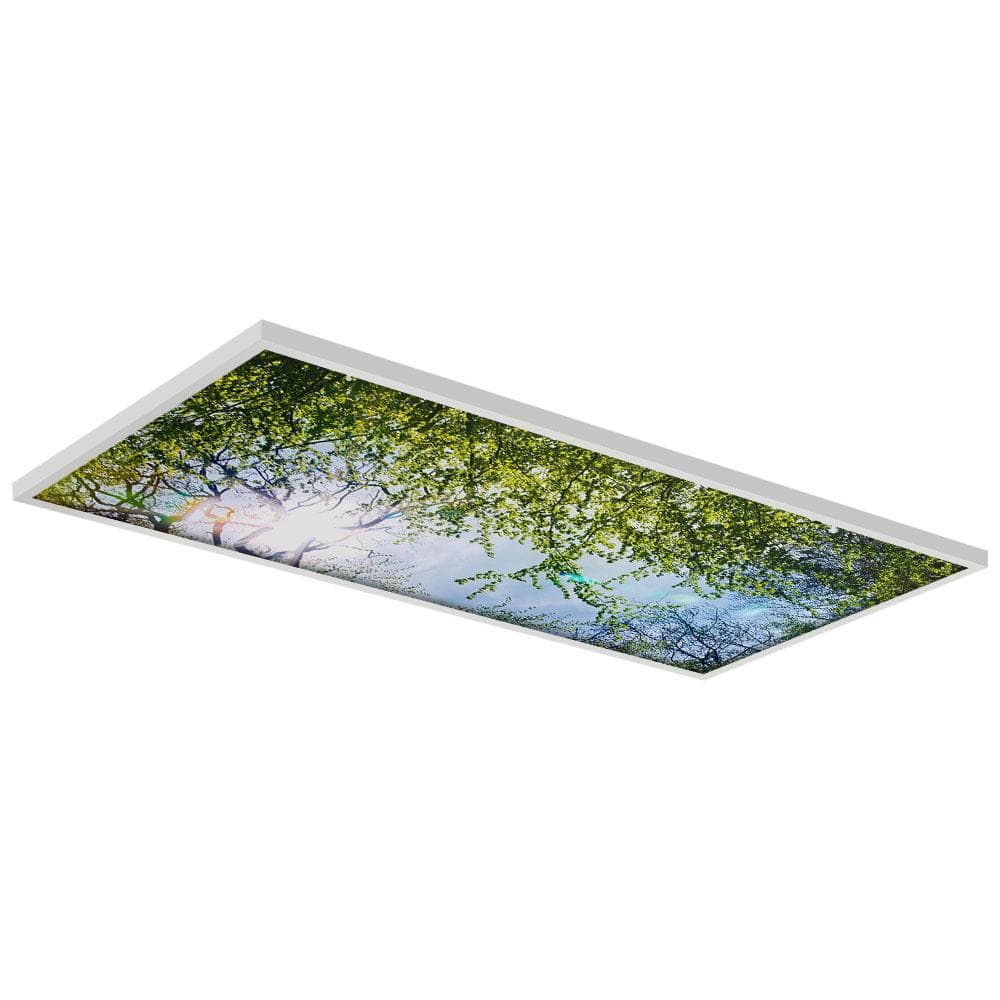 Tree 006 2 ft. x 4 ft. Fluorescent Light Filters price history on PriceWatchPro
