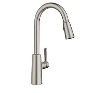 Riley Single Handle Pull-Down Sprayer Kitchen Faucet with Reflex and Power Clean in Spot Resist Stainless