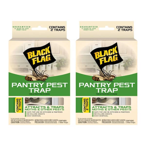 Black Flag Pantry Pest Moth Glue Traps Multi-Pack (2-Count)