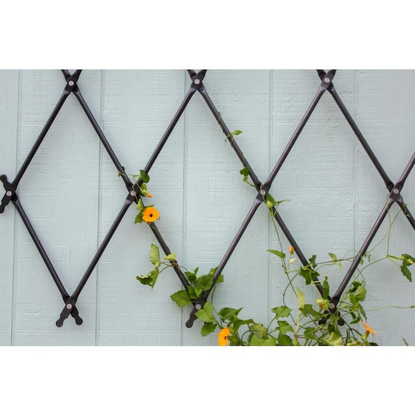 ACHLA DESIGNS Traditional Wall Mounted Lattice Garden Trellis, 43 in. Tall  Graphite Powdercoat Finish FT-32G - The Home Depot