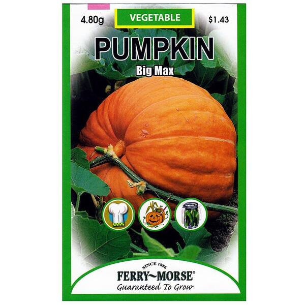 Ferry-Morse Pumpkin Big Max Seed 8123 - The Home Depot
