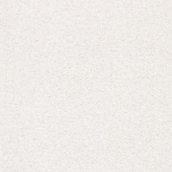 Lifeproof Karma I - Halo - Beige 41.2 oz. Nylon Texture Installed Carpet