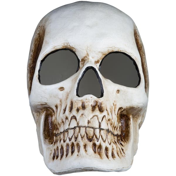 Unbranded 20 in. Blow Mold Lighted Decor-Candle Flicker-Natural Bone Skull