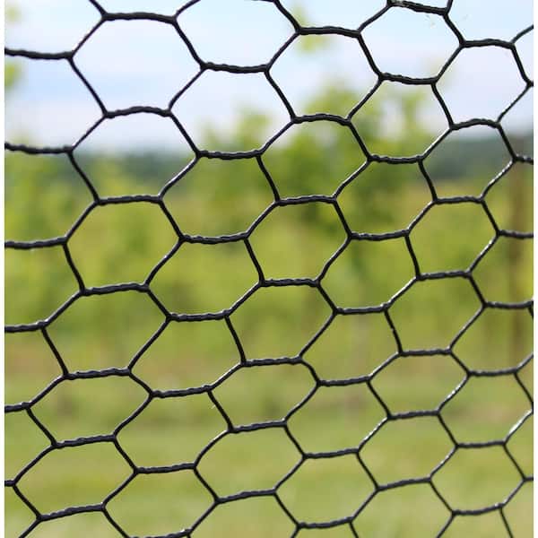 Fencer Wire 4 ft. x 150 ft. 19-Gauge Black Vinyl Coated Poultry Netting  with 3/4 in. Mesh NV19-B4X150MF34 - The Home Depot