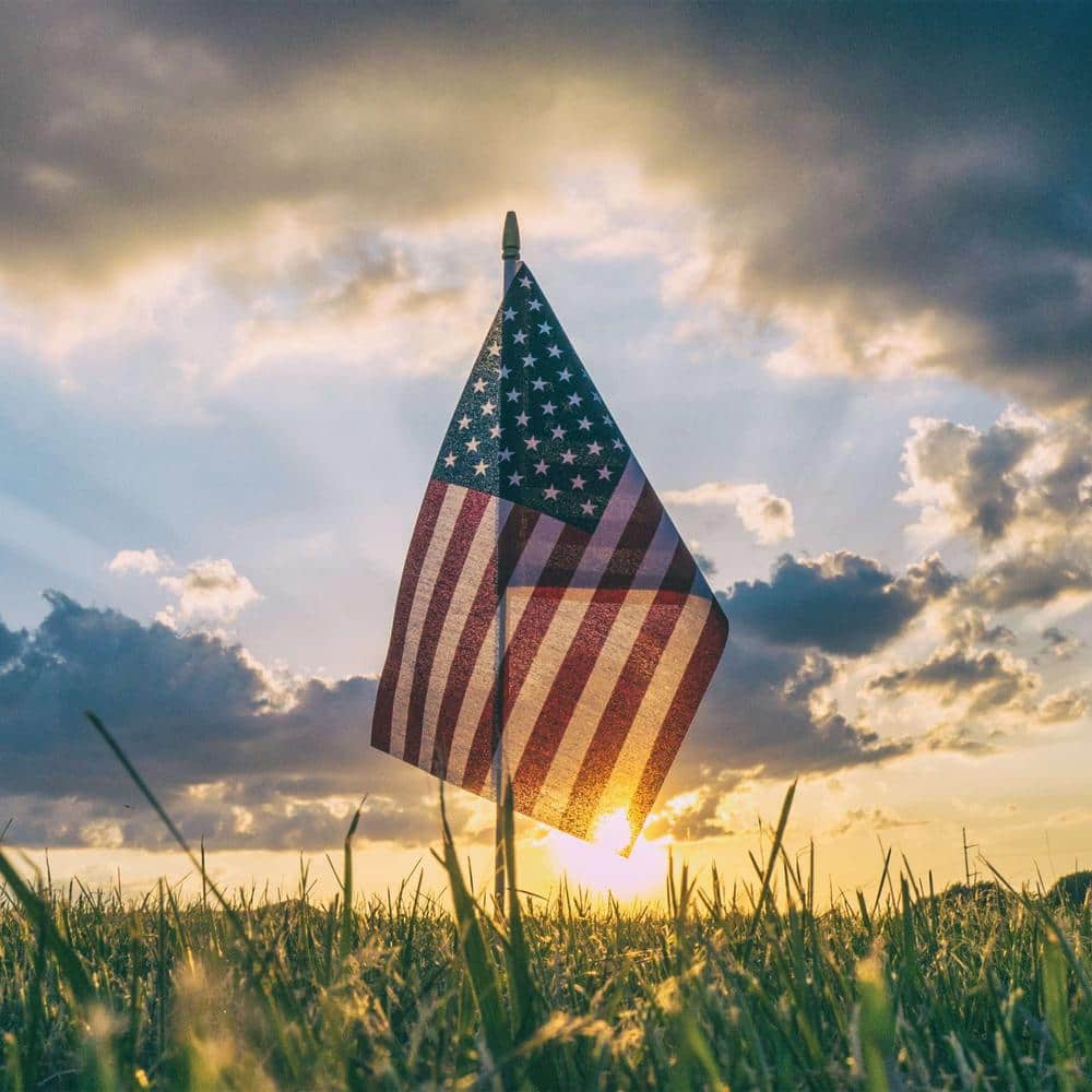 Patriotic 18'' x 12'' Polyester American Stick Flags with Wooden Poles