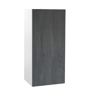 Quick Assemble Modern Style, Carbon Marine 21 x 42 in. Wall Kitchen Cabinet (21 in. W x 12 D x 42 in. H)