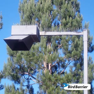 Industrial Spikes 24 ft. L x 5 in. W Stainless Steel Bird Spikes (3 ft. Sections, Bond Included)