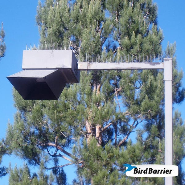 Industrial Spikes 51 ft. L x 8 in. W Stainless Steel Bird Spikes (3 ft. Sections, Bond Included)